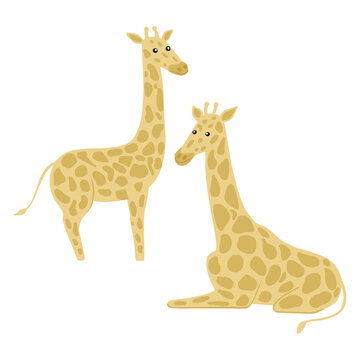 Set giraffes isolated on white background. Cute character sits and full-length. Safari animals in pattern spots.