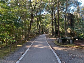 成田山公園内の景色