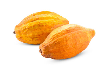 Fresh cocoa isolated on white background