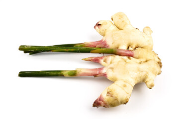 Fresh ginger root or rhizome isolated on white background, Ingredients of herbs for healing and...