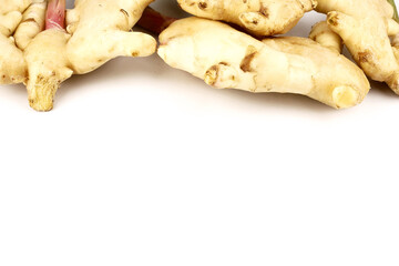 Fresh ginger root or rhizome isolated on white background, Ingredients of herbs for healing and healthy food or Natural therapy concept