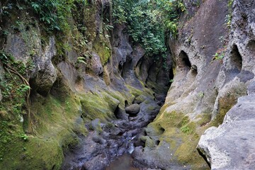 Beji Guwang Hidden Canyon in Bali island, Indonesia, Southeast Asia, Asia