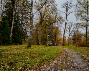 Dirt road in the autumn forest