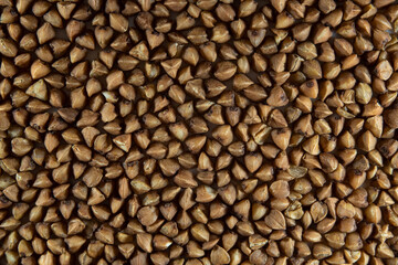 Macro photography of buckwheat.Background texture of buckwheat grain.