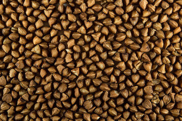 Macro photography of buckwheat.Background texture of buckwheat grain. the view from the top