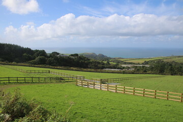Cornwall Landscape, Green fields and rocks