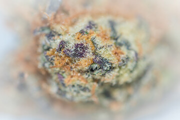 Close up detail of high grade Canadian marijuana bud