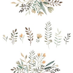 Fototapeta na wymiar Set of watercolor wildflowers. Collection abstract plants for