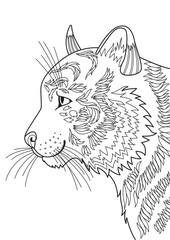 Tiger doodle coloring book page. Dlsck and white outlined illustration