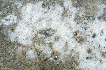 crushed white ice on old concrete