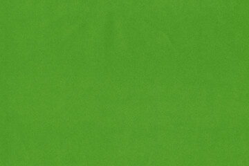 Fototapeta premium simple, blank, paper, texture, green, organic, plant, fabric, grunge, clean, minimalist, antique, old, aged, abstract, vintage, cardboard, retro, empty, design, background, canvas, parchment, backdrop
