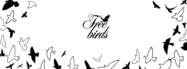 A flock of flying birds. Horizontal frame for your text with the birds. Vector illustration