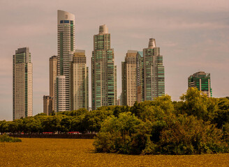 Fototapeta premium Vista de los modernos edificios de Puerto Madero desde la Reserva Ecológica de Costanera Sur en la Ciudad Autónoma de Buenos Aires