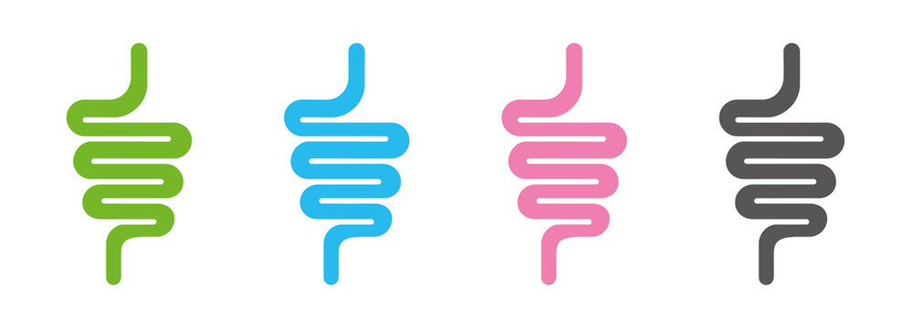 Intestinal tract set icon isolated on white background