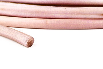 Lotus stem or Renkon (Nelumbo nucifera) isolated on white background, Plants growing in water Can be food or dessert.