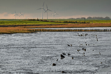Abendstimmung im Wattenmeer, Ostfriesland