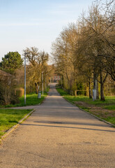 suburb lane
