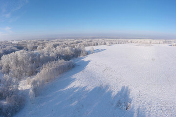 Fototapeta na wymiar Aerial Pano Little Planet. Winter Field and Snow White Forest Covered With Hoarfrost.