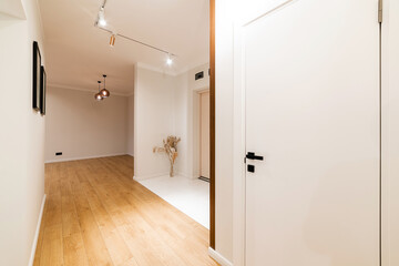Fototapeta na wymiar Corridor with bright walls and new design lighting. Bright doors and dark floors