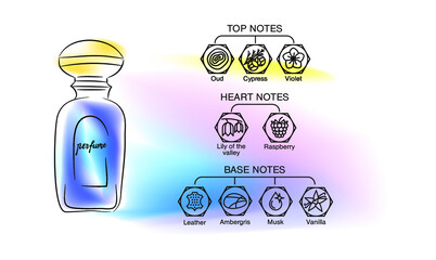 Aromatic structure notes guide for perfume, scent and aroma infographic. Top, heart, middle and base notes pyramid chart with examples of popular aroma essences. Fragrance icons. - obrazy, fototapety, plakaty