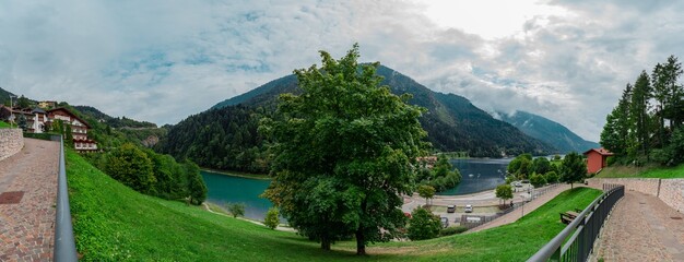 tree panoramic view molveno mountain