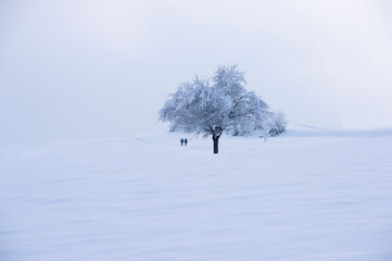 Winteridylle im Schwarzwald. 