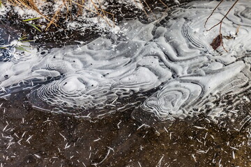 Air bubbles on ice in winter closeup