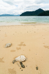 Beautiful beach in Koh Yi pun island in Andaman sea, Ranong, Thailand.