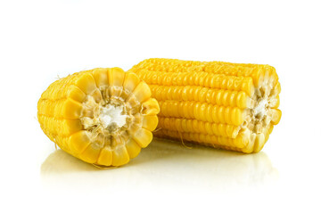 fresh raw corn cob isolated on white background