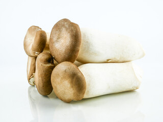 King oyster mushroom, (origin) Pleurotus eryngii mushroom isolated on white background