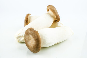 King oyster mushroom, (origin) Pleurotus eryngii mushroom isolated on white background