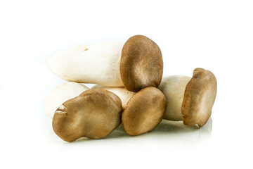 King oyster mushroom, (origin) Pleurotus eryngii mushroom isolated on white background