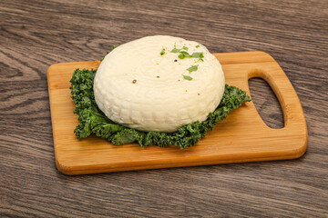 Caucasian suluguni round cheese piece