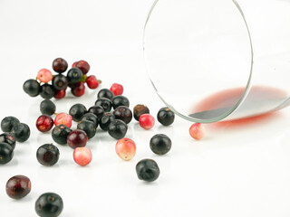 Antidesma puncticulatum Miq, Thai Blueberry Fruit (Mamao) isolated on white background.Can be extracted into medicine and wine Growing in the Northeast of Thailand.