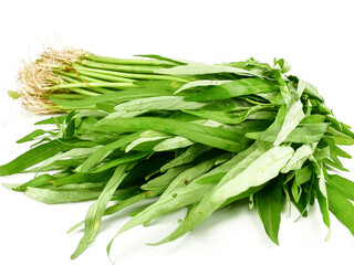 Fototapeta premium Water spinach, Kang Kong, Morning Glory, Water Convolvulus (Ipomoea aquatica) isolated on white background