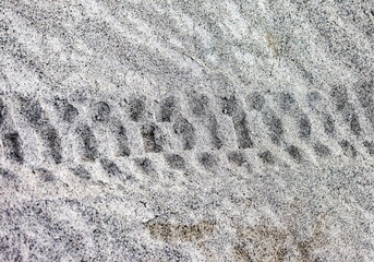 Traces of a motorcycle wheel on the gray sand of the shore of a shallow lake. Background