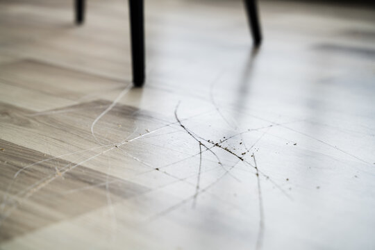 Scratched Laminate Floor Damage