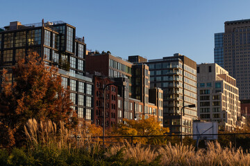 Modern Residential Buildings in the Tribeca New York City Skyline during Autumn with Colorful Trees