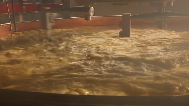 Fabrication du fromage le comt&eacute; au coeur du fromagerie situ&eacute; dans le jura dans une cuve en cuivre traditionnelle. Le lait en utilisant des machines.