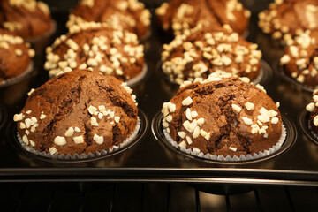 Fototapeta na wymiar chocolate muffins in the oven