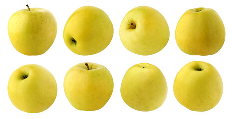 yellow apples isolated on a white background with a clipping path.