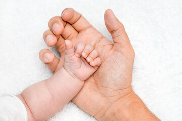 Obraz na płótnie Canvas Fathers hand holding their new born baby. aring for newborn