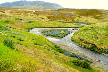 A creek on the valley with green grass and lupine flowers in Iceland