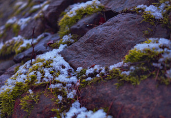 Schnee in den Bergen