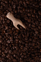 Fototapeta premium coffee beans on a spoon
