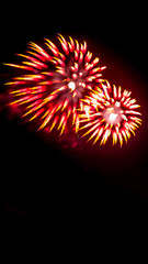Fireworks for Celebration or Congratulations Holiday card 4th Fourth of July Blurred on purpose Oak...