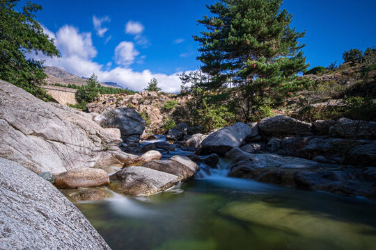 Golo Bilder Durchsuchen 657 Archivfotos, und Videos