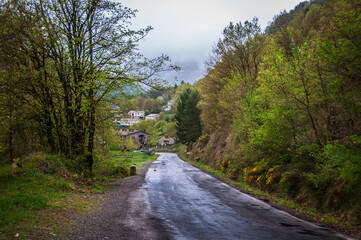 Carretera del Pirineo. Lluvia. Bosque