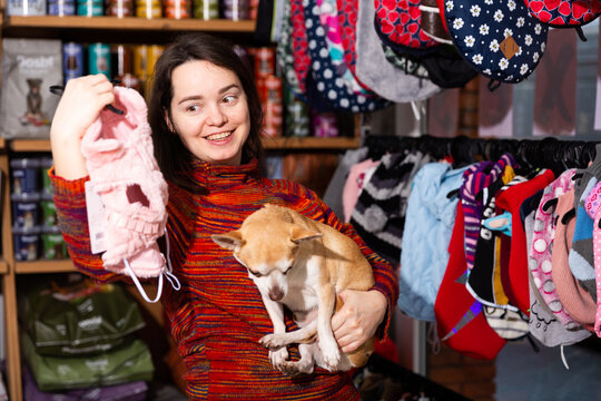 Positive woman holding dog and choosing clothes in petshop. High quality photo