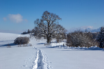 Tief verschneite Winterlandschaft in Pfronten